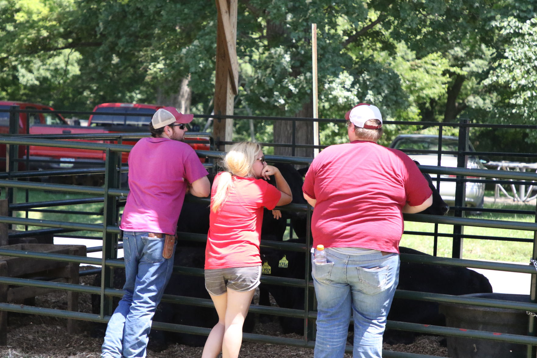 Animal Barns_02.JPG